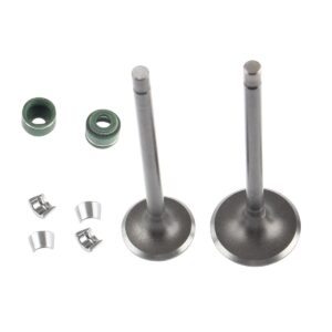 Kit De Valvulas Dt125 / Ft125 Italika