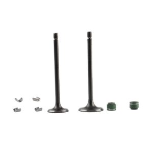 Kit De Valvulas Dm150 / Ft180 Italika